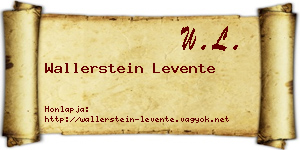 Wallerstein Levente névjegykártya